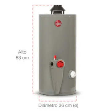 Calentador Para Agua de Deposito Rheem 29v10s de 10 Galones (38 Litros) Para Gas Natural Gris