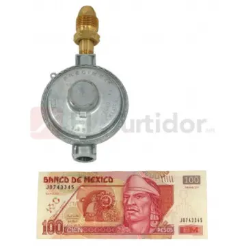 Regulador Iusa Con Conexión de Entrada Pol 3001-az0 Gris