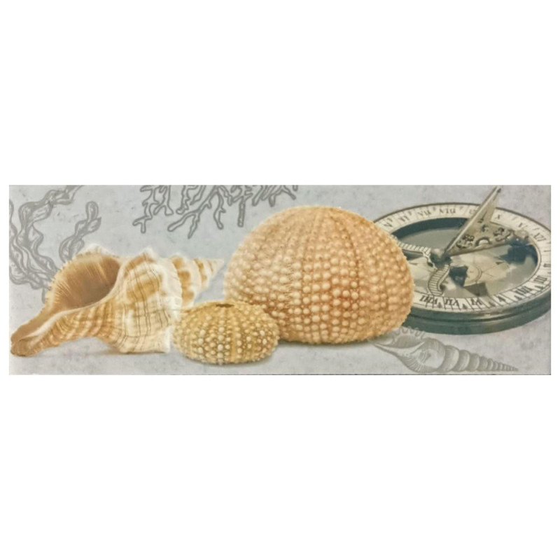 Cenefas decorativas adhesivas 💕 🤩 de Conchas de mar (Mod. 186