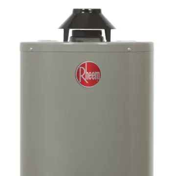 Calentador Para Agua Rheem de 10 Galones (37 Litros) Para Gas LP 29v10s Gris