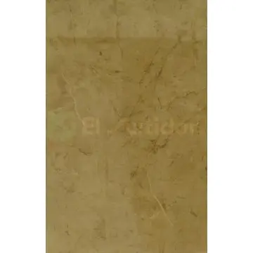 Muro Umbria Porcelanite 25x40 cm 1.5 m. Café