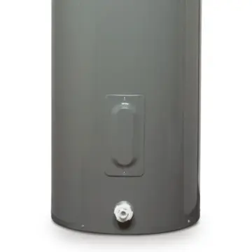 Calentador Para Agua de Depósito Eléctrico Rheem 66g/250l Litros 220v 89v66-2/700054 Gris