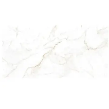 Piso Porcelanico Rectificado Cesantoni Marconi 60x120 1.44m Pulido