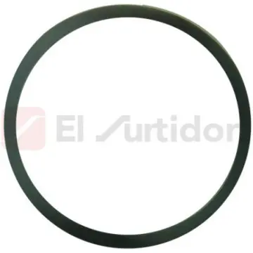 Anillo Empaque de 100 Anger