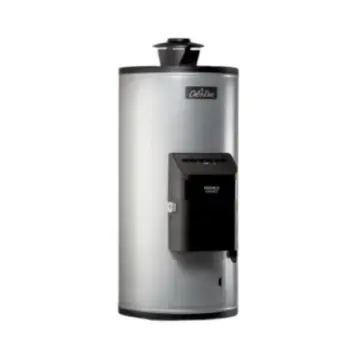 Calentador Para Agua de Depósito Calorex Maximus Advance G-10 3270029 Gas LP Gris