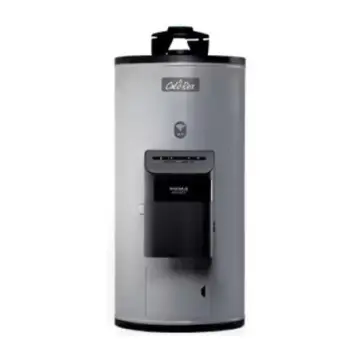 Calentador Para Agua de Depósito Calorex Maximus Advance Wifi G-10 3270042 Gas Natural Gris