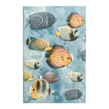 Juego de Decorado Acuario Mix Porcelanite M605062 20x30