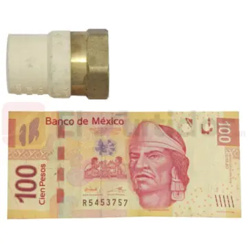 Adaptador Hembra de Cpvc Amanco 25 66079  Inserto de Bronce Beige