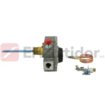 Termostato Automático Iusa 399312 Con Accesorios Gris