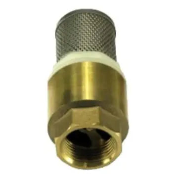 Check Pichancha Valmex 13mm Con Rejilla en Acero Inoxidable 20.101