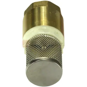 Check Pichancha Valmex 19mm Con Rejilla en Acero Inoxidable 20.102