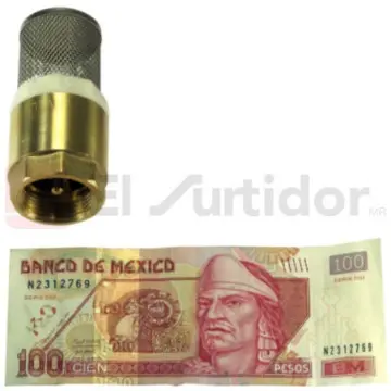 Check Pichancha Valmex 19mm Con Rejilla en Acero Inoxidable 20.102