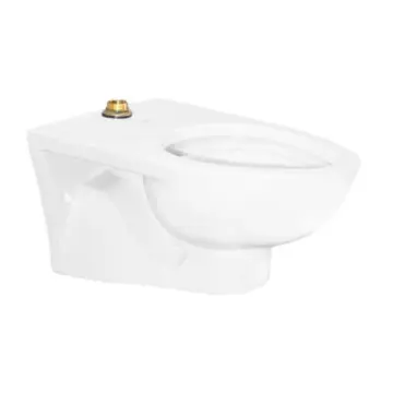 Taza Para Fluxometro Helvex...