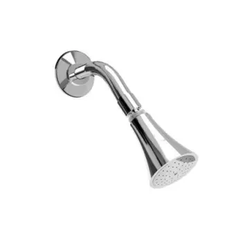 Regadera Chorro Fijo Brazo...