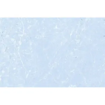 Muro Porcelanite Gales FD...