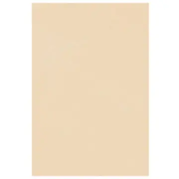 Muro Xicotepec Vitromex 20.1x30.2 (1.82 Metros) Beige