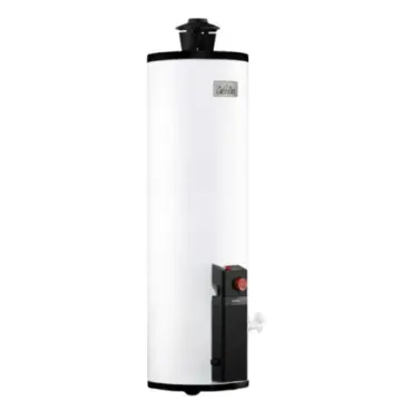 Calentador para agua de depósito Calorex Maximus G-60 3270078  Gas LP Blanco