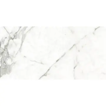 Piso Por Esm Colossale Mate 120x60 1.44m Pp142 Tndnza