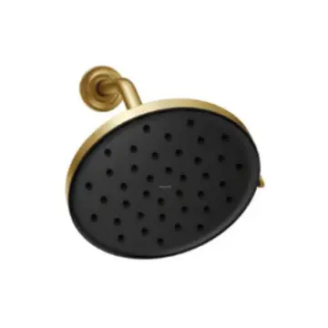 Regadera Moen Verso Magnetix Dock 220r3epbg Oro Cepillado