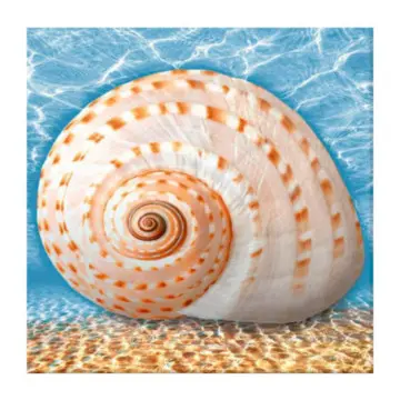 Decorado Caracola Dune Mar M607271 15x15