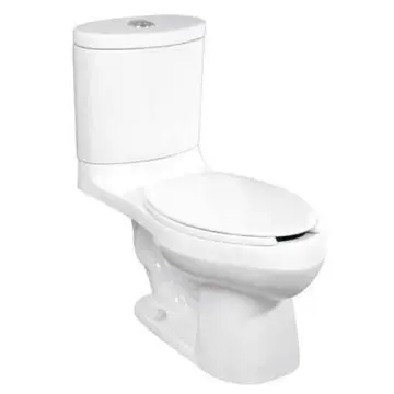 Sanitario Helvex Rodano16 Trampa Expuesta 4.8 Litros 2 Piezas Elongado Blanco