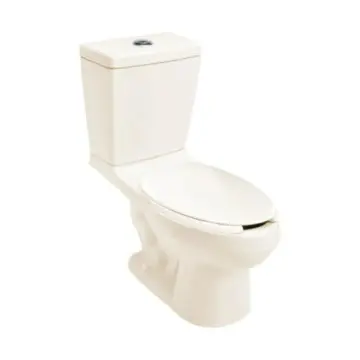 Sanitario Helvex Bolmen16m 2 Piezas Con Trampa Expuesta 4.8 Litros Elongado Marfil