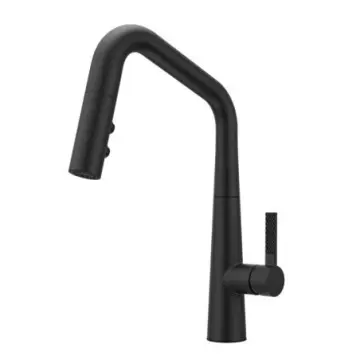 Monomando Para Fregadero Pfister Asari Gt529asrb Negro Mate