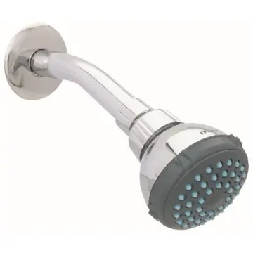 Regadera Bych Dica 4506b Con Brazo Y Chapetón Cromo