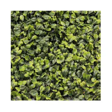 Muro Verde Garden Craft Perdura Badi Oro 50x50 3 Metros Cuadrados