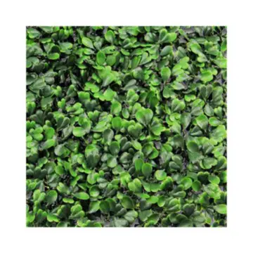 Muro Verde Garden Craft Perdura Badi Savia 50x50 3 Metros Cuadrados