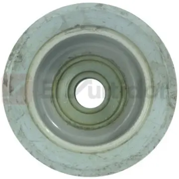 Reduccio Bush Hid 100x13