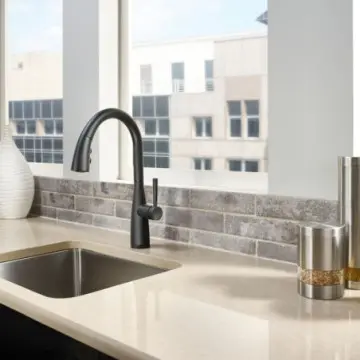 Monomando de Fregadero Pfister Raya F5297ryb Negro Mate