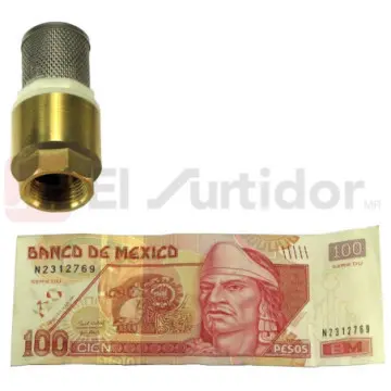 Check Pichancha Valmex 13mm Con Rejilla en Acero Inoxidable 20.101