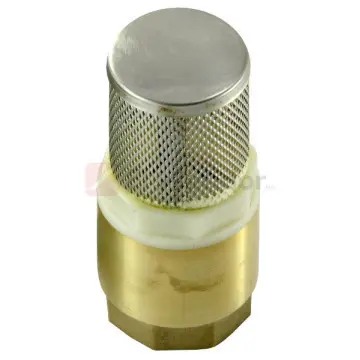 Check Pichancha Valmex 25mm Con Rejilla en Acero Inoxidable 20.103