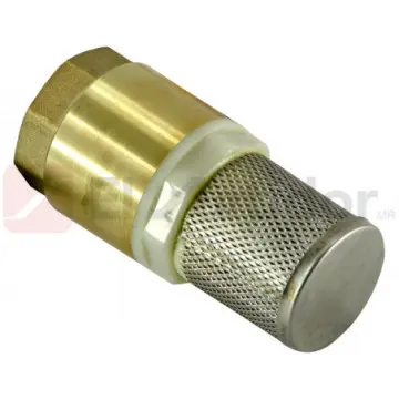 Check Pichancha Valmex 25mm Con Rejilla en Acero Inoxidable 20.103