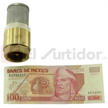 Check Pichancha Valmex 25mm Con Rejilla en Acero Inoxidable 20.103