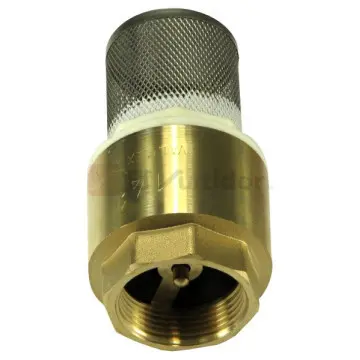 Check Pichancha Valmex 32mm Con Rejilla en Acero Inoxidable 20.104