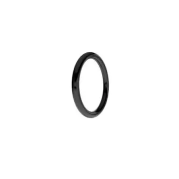 O Ring Helvex 2-110 Rf-223