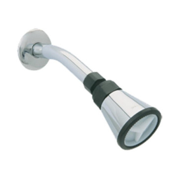 Regadera Dica Con Brazo Y Chapetón 4500b Cromo