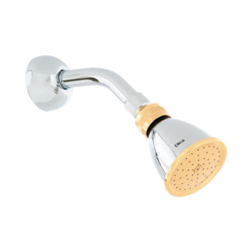 Regadera Dica Con Brazo Y Chapetón de 2" 4510b Cromo