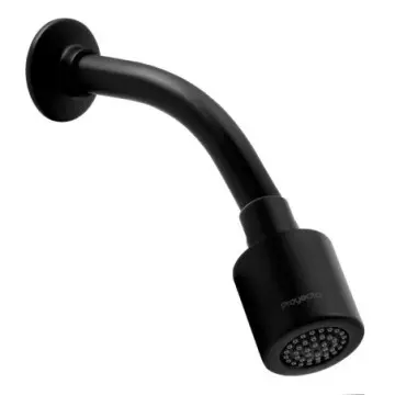 Regadera Con Brazo Y...