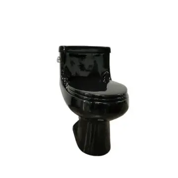 Sanitario de I Pieza Con...