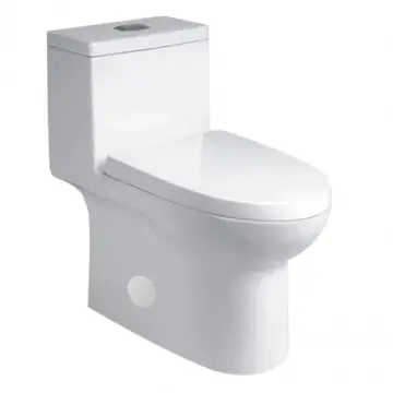 Sanitario Duravit Con...