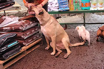 Credibilidad y confianza 45