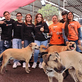 Credibilidad y confianza 60