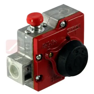 Termostato Iusatrol Iusa 495066 Automático Rojo