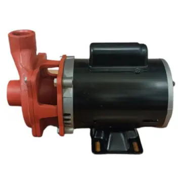 Bomba Centrífuga Weg 1 Hp