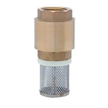 Válvula Check Pichancha Dica 4045r.25 Con Canastilla Y Resorte