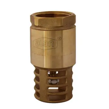 Check Pichancha Alan de 19 10b-3/4 Bronce