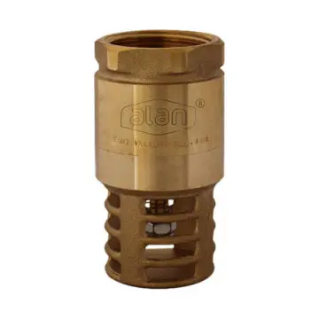 Check Pichancha Alan de 25 10b-1 Bronce